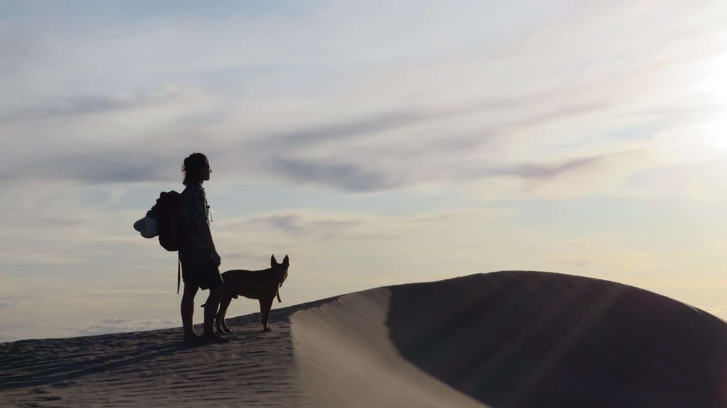 كلبك يتحدى صعاب الطبيعة ويؤنسك في هذه الصحراء