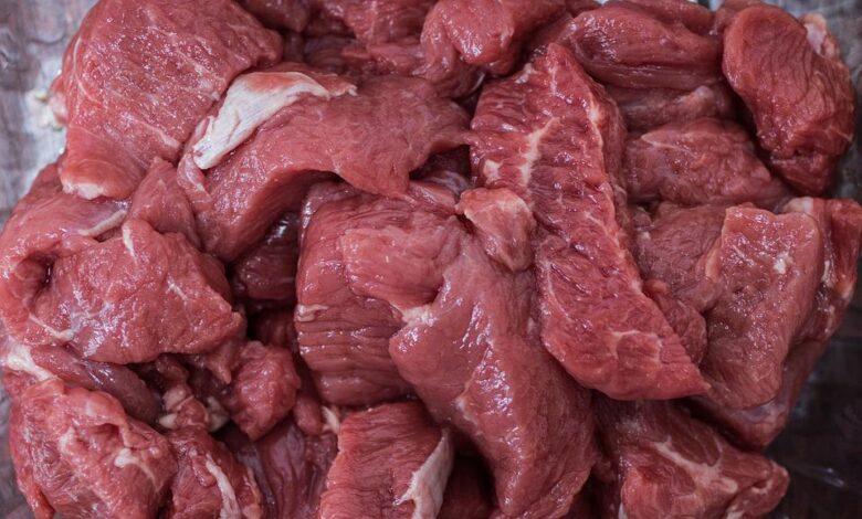 هل اللحم النيء مضر للكلاب